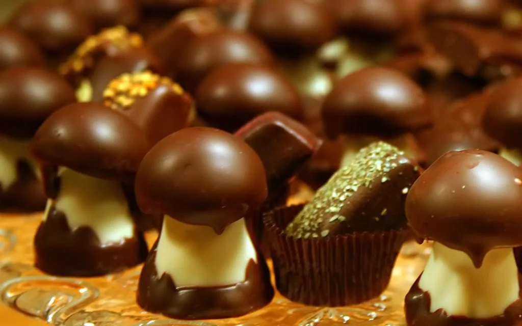 Mushroom chocolate